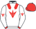 Speedway Stable LLC silks