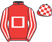 The Up For Anything Syndicate silks