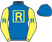 Richard Ravin & Patricia's Hope LLC silks