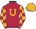 Radar Racing LLC silks