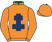 Frankie Dettori silk