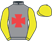 Mr E G R Hughes silks