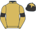 Equisynd Syndicate (Nom: Mr R J Dow) silks