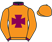 Messrs B P Meth & Jason Taylor silks