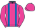 Kangyu Int Racing Ltd silks