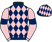 Capt James Rawdon-Mogg silk