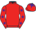 Biddestone Racing XVI silks