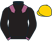 Lerena Racing Pty (Ltd) (M A Lodder) silks