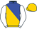 Mesdames Surina de Villiers & J J Steyn  silks