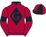Gulliver Racing, LLC, C W. Drager et al silks