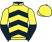 Mrs Julie Marriott silks