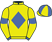 Mr S Ah Hang & Chamarel Racing Syndicate silks