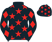 Mr P. W. Gleeson silk