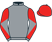 Maximum Racing & Partner II silks