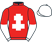 The Maienfeld Syndicate silks