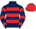 Royale Racing Syndicate and Partners 1 silks