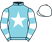 Mr J W Webber silks