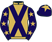 Bloomhill Stud (Nom: Mrs S Trethewey) silks
