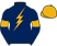 Wild Horses Racing silks