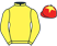 Freddie Gingell silk