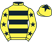 Mrs Vicky Parks silks