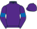 Myrteel Ward & Dan Skelton silks