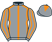 The Pleione Partnership silks