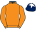 Blue Starr Racing 2 silks