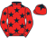 Coolmara Stables Ltd silks