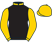 Golden Goose Racing (Pty) Ltd silks