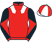Red 23 Racing silks