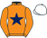 Blue Starr Racing and Partner silks