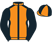 Wise Bloodstock Ltd silks