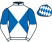 Kinmount Racing silks