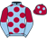 Laurence Holder & Partners silks