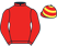 Mr A Smith & Mr D Thorpe silks