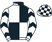 Wee Dude Racing & Michael Darrah silks
