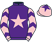 Dales Racing II and Partner silks