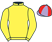 Mr R. Manley silks
