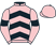 Mr D J M Rees & Partner silks