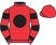Mr Daniel Ducasse silks