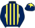 The February Syndicate & Partner silks