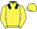 ARM Racing silks