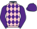 Twelve Fillies Syndicate silks