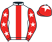 The 1314 Inn Race4fun silks