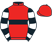 Only Dogs & Horses I silks