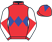 Messrs R P Tirvengadum, J V A Strydom, M silks