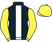 Top Of The World Partnership silks