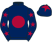 The Out Of The Blue Partnership silks