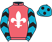 Mr L Stevens-Burt silks